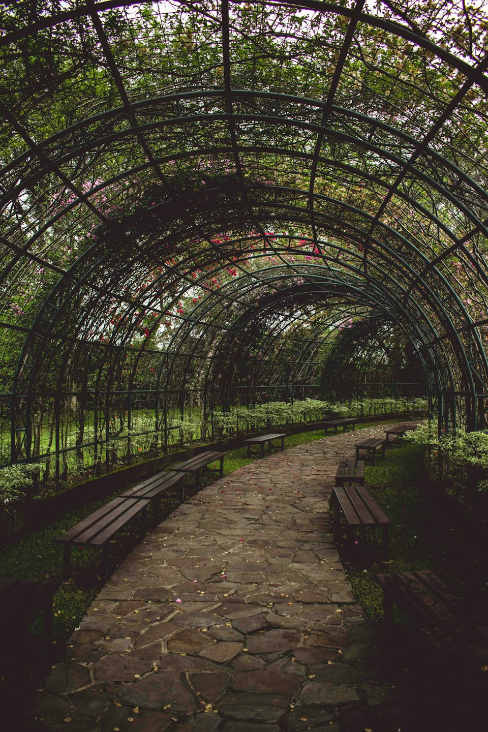Stone garden path winds through lush greenery with benches.